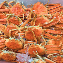 鮮度へのこだわり